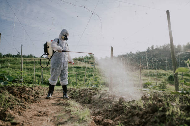 Best Best Pest Control Companies  in Stateburg, SC