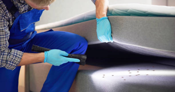 Trusted Stateburg, SC Pest Control Experts